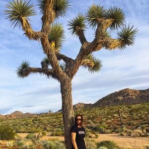 Meet your Posher, Fadila